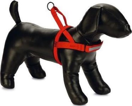 Beeztees Parinca Comfort Hondentuig Nylon - Rood 32-42 cm x 20 mm