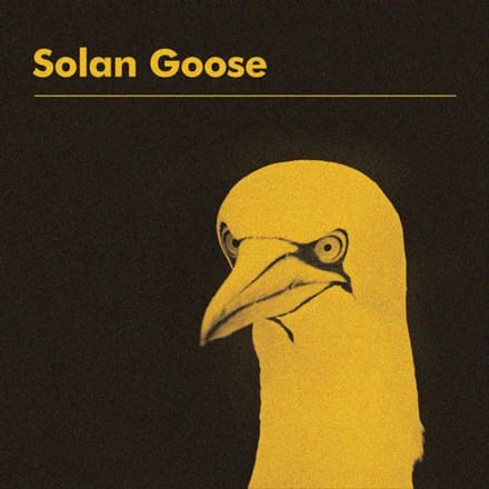 Solan Goose - Erland Cooper
