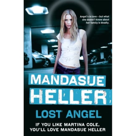 Lost Angel - Mandasue Heller