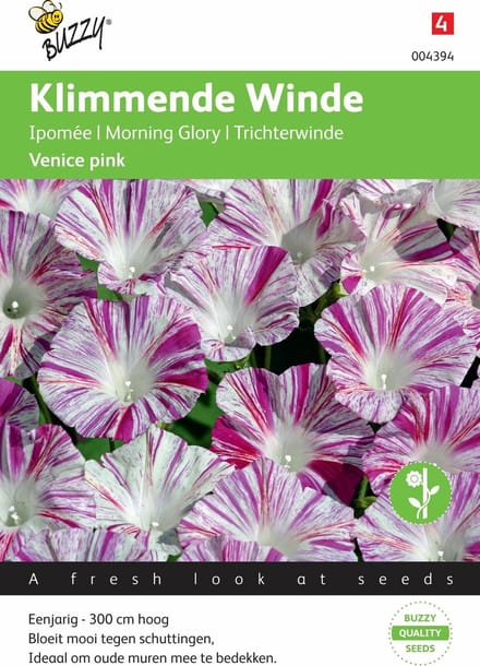Buzzy® Ipomoea Tricolor Venice Pink