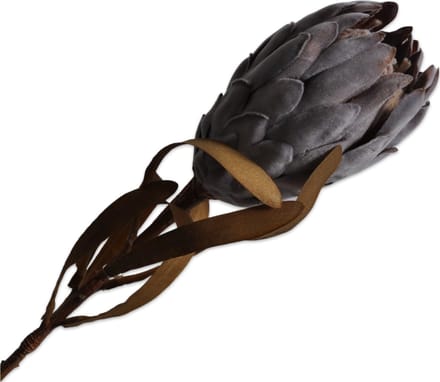Silk-ka Kunstbloem-Zijde Bloem Protea Steel Grijs 62 cm