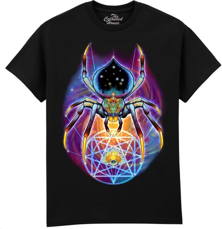 Spin Spider - Weave Your Reality The Coloured House T-shirt S
