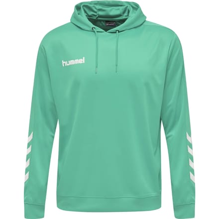 Capuchon sweaters hummel Sweat à capuche Promo Poly vert