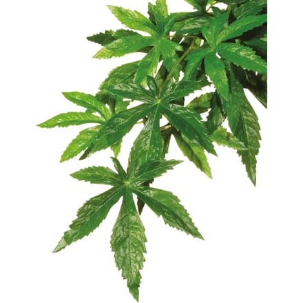 Decoratieset voor planten Exo Terra