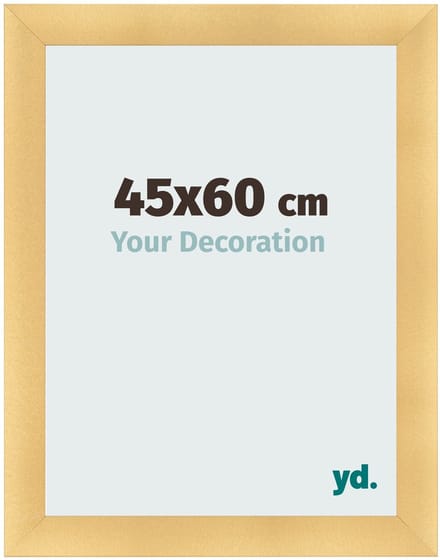 Your Decoration - Fotolijst 45x60 cm - MDF - Goud Mat - Pisa