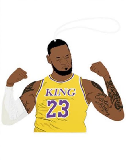Airfreshener - Lebron James - Flexxing