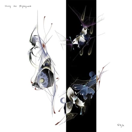 Harry The Nightgown - Ugh (LP)