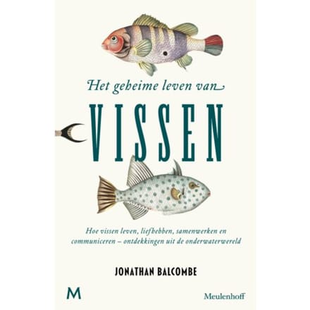 Het Geheime Leven Van Vissen - Jonathan Balcombe