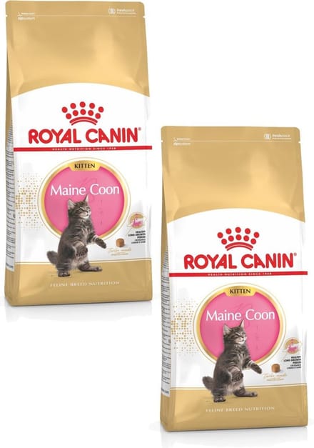 Royal Canin Maine Coon Kitten - Kitten-Kattenvoer - 2 x 4 kg