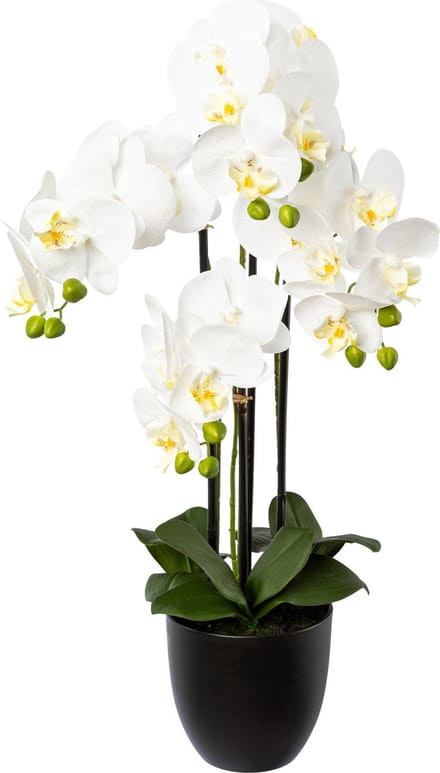 Kopu® Kunstbloem Orchidee 69 cm Wit met zwarte Pot - Phalenopsis