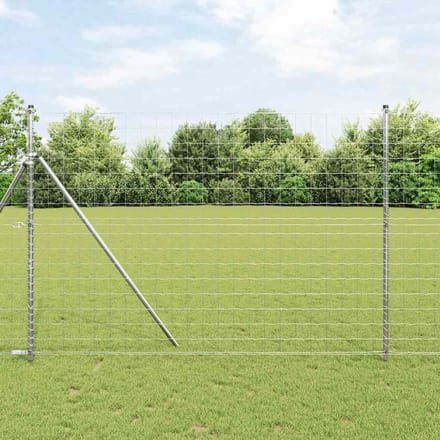 vidaXL - Euro - Hek - 1,6 - x - 10 - m - PVC-gelaagd - ijzer