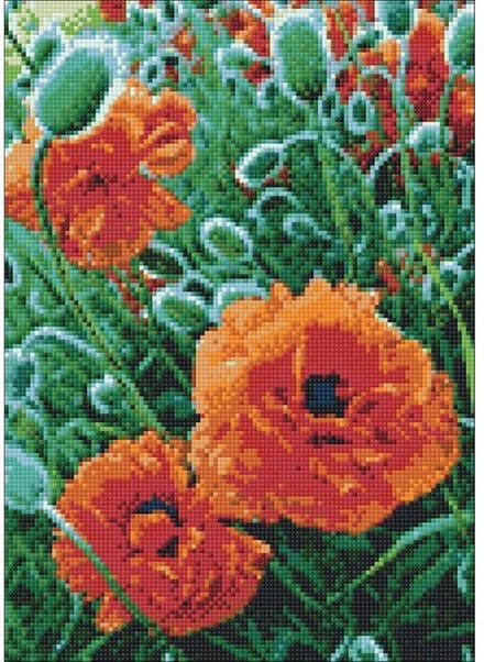 Wizardi Diamond Painting Kit Poppie Field WD012