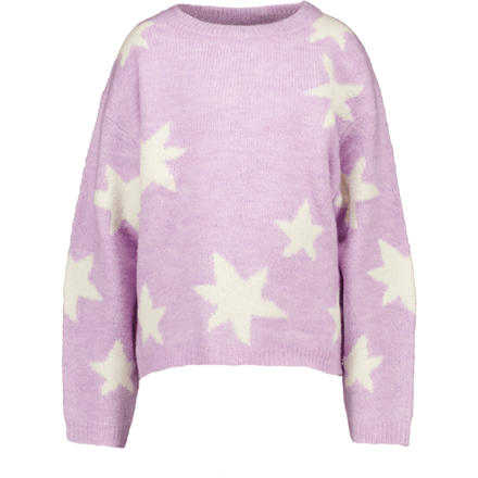 Zeeman Sweater - Paars  92