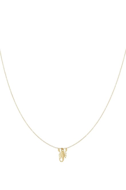 Scorpio Spirit ketting