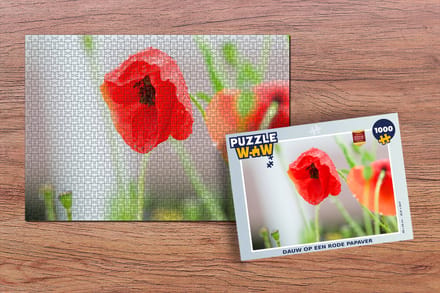 Puzzel Dauw op een rode papaver - Legpuzzel - Puzzel 1000 stukjes volwassenen
