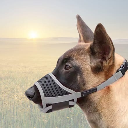 4Paw® Muilkorf Grote hond - Maat XL - Snuit 20-24 cm Verstelbaar grijs