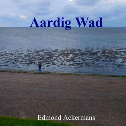 Aardig Wad - Edmond Ackermans