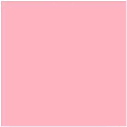 Papicolor Papier A4 babyroze 105gr-CV 12 vel 300959 - 210x297mm