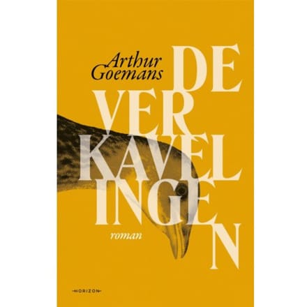 De Verkavelingen - Arthur Goemans