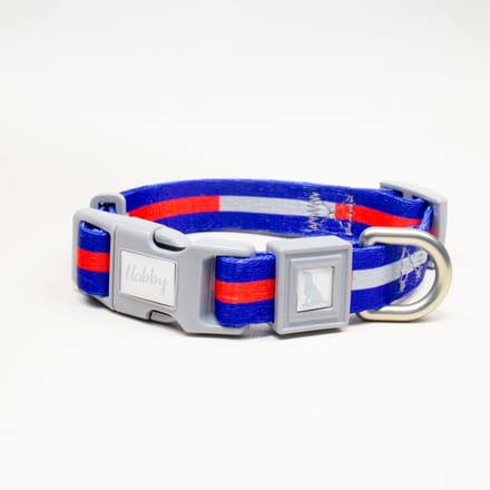 Luxe Halsband voor Honden-Verstelbaar 25 Cm-35 Cm x 1,5 Cm-Strip