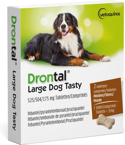Ontworming  hond l tasty (2 TABLETTEN) - Bayer drontal