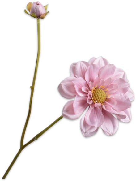 Silk-ka - Kunstbloem - dahlia - roze - H48 cm - 3 stuks