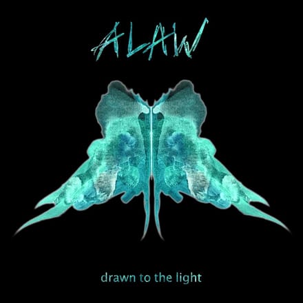 Drawn to the Light