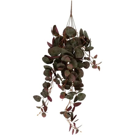 Kunstmatige hangplant Present Time Ceropegia
