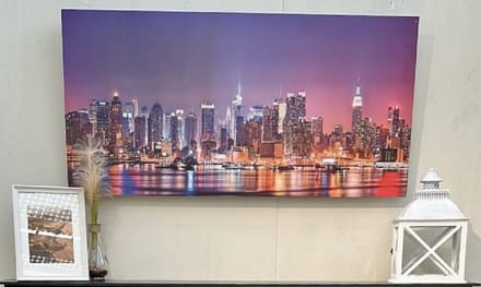 BEV™- EL infrarood verwarmingspaneel met afbeelding 750W