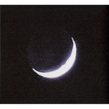 Oiseaux-Tempete - Tarab (CD)