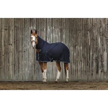Drooghemd voor paarden Equithème Combo