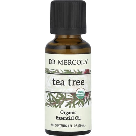 Dr. Mercola, Organic Essential Oil, Tea Tree, 30 Ml (1 Fl Oz)