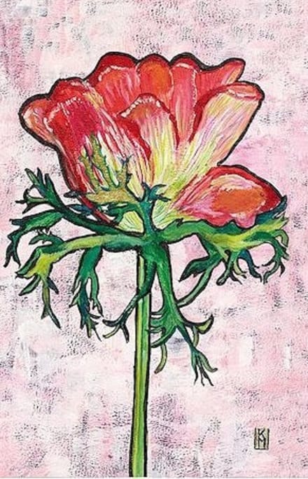 Dubbele kaart met env. Rode Anemoon 11,5x17,5cm
