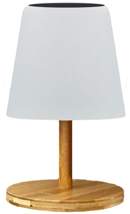 Tafellamp op zonne-energie H25CM WOOD