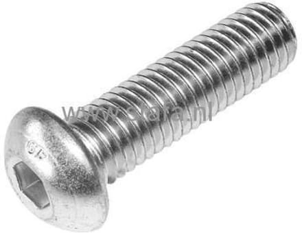 Laagbolkopschr Iso7380 10.9 M5x20 - Verzinkt - 500 Stuks