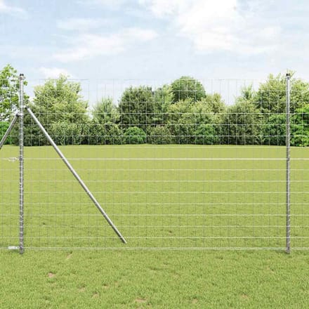 vidaXL - Euro - Hek - 1,6 - x - 10 - m - PVC-gelaagd - ijzer