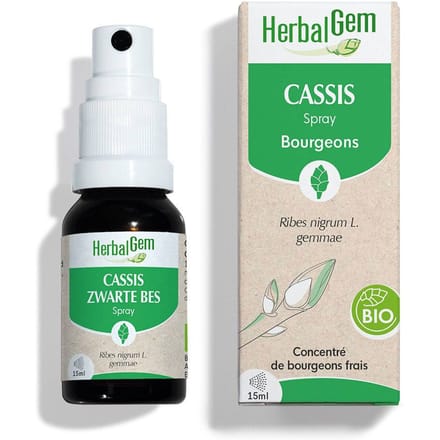 HerbalGem Zwarte Bes Bio | Gewrichten & Spieren 15 Spray