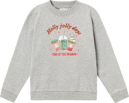 NAME IT NKFRULJUL LS NREG SWEAT BRU BOX Meisjes Trui - Maat 116