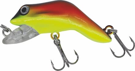 Albatros Catch21 Holy Frog Golden Dawn