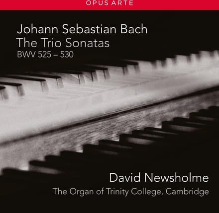 David Newsholme - J.S. Bach: The Trio Sonatas BWV 525-530 (CD)