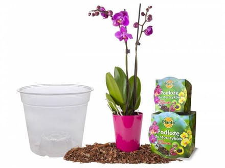 Planta - Orchideeën Potgrond - Met Pot - 1,1L - Luchtig en Voedzaam