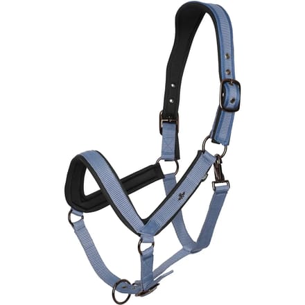 Halster voor paarden HV Polo Essential