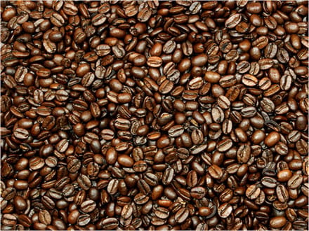Fotobehang - Coffee heaven.