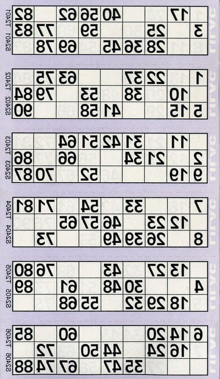 Bingo Flyers - Bingotickets - Spelavond Organiseren - 12000 Stuks - 42 x 10.5 cm - Multicolor