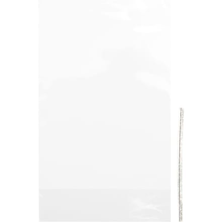 Zak met bodemvouw "Transparant" met sluitstrip - 11,2 x 19,2 cm