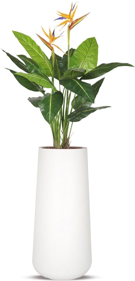 Kunstplant Strelitzia in Lucas H195 cm