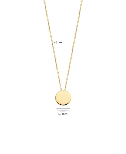 Blush Ketting Dames - Goud - 42 cm - Halsketting Dames Geen bewerking - Collier