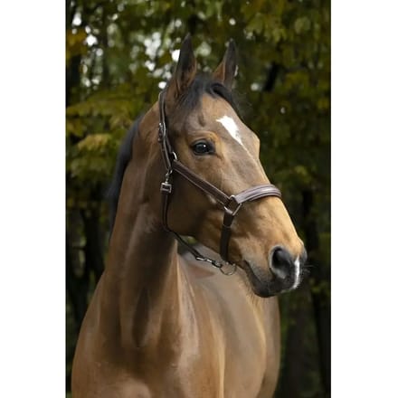 Halster voor paarden Norton Pro Anatomique