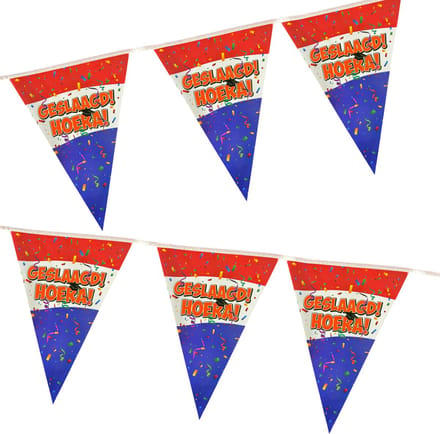 3BMT® Geslaagd Versiering - Geslaagd Slinger - leuke Vlaggenlijn - 4 meter