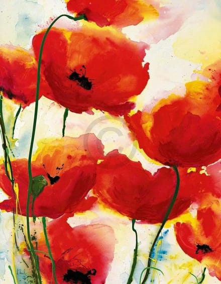 Kunstdruk Heidi Reil - Roter Mohn 70x90cm